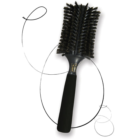 Brushopolis Utopia the perfect brush for daily scalp + hair health PLUS FREE Prepping Paddle